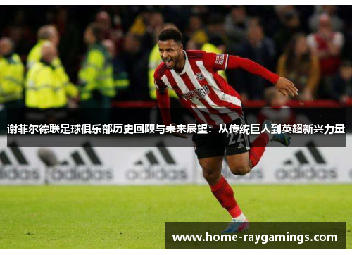 谢菲尔德联足球俱乐部历史回顾与未来展望：从传统巨人到英超新兴力量
