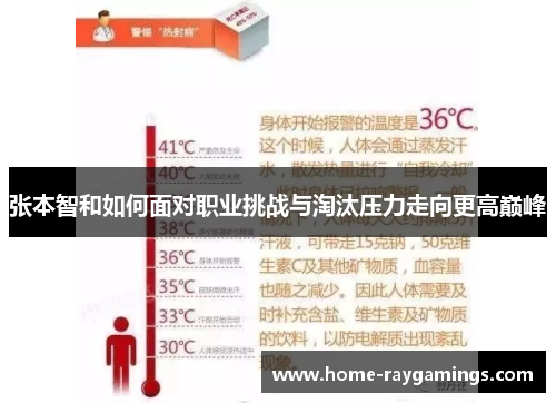 张本智和如何面对职业挑战与淘汰压力走向更高巅峰