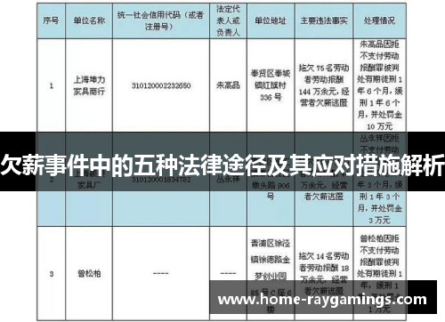 欠薪事件中的五种法律途径及其应对措施解析