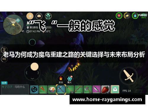 老马为何成为魔鸟重建之路的关键选择与未来布局分析